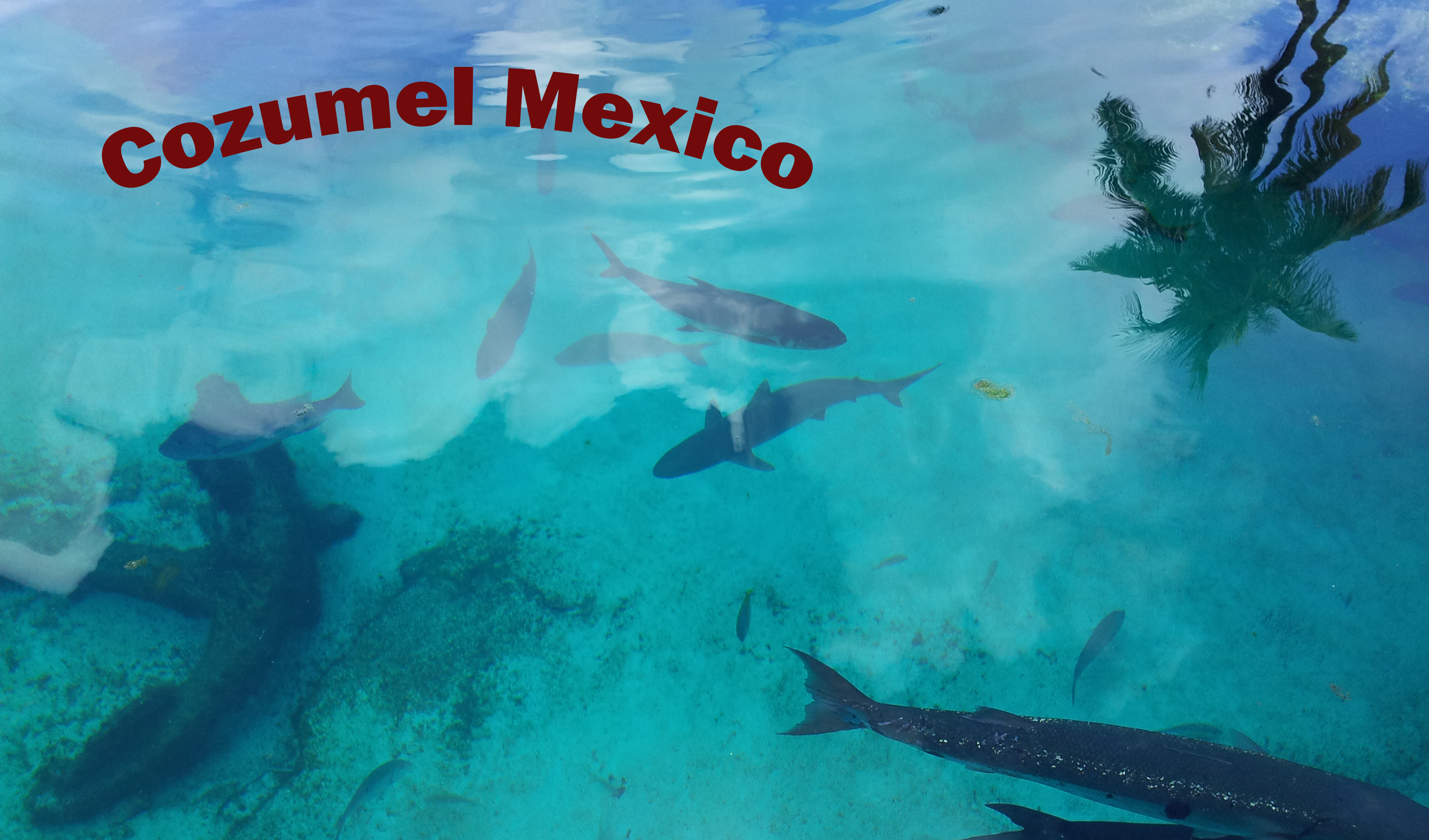 Cozumel Mexico