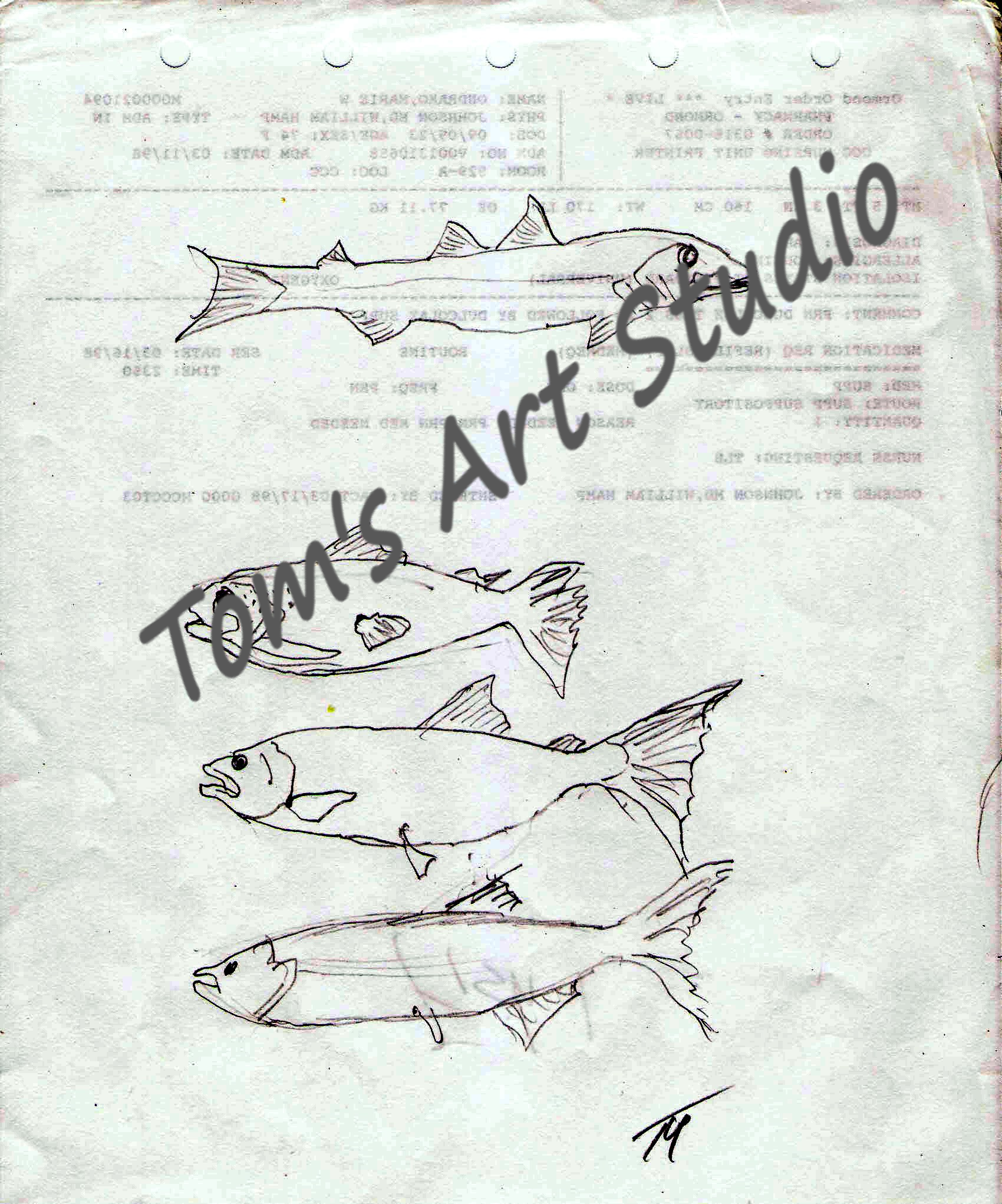 Fishes 3