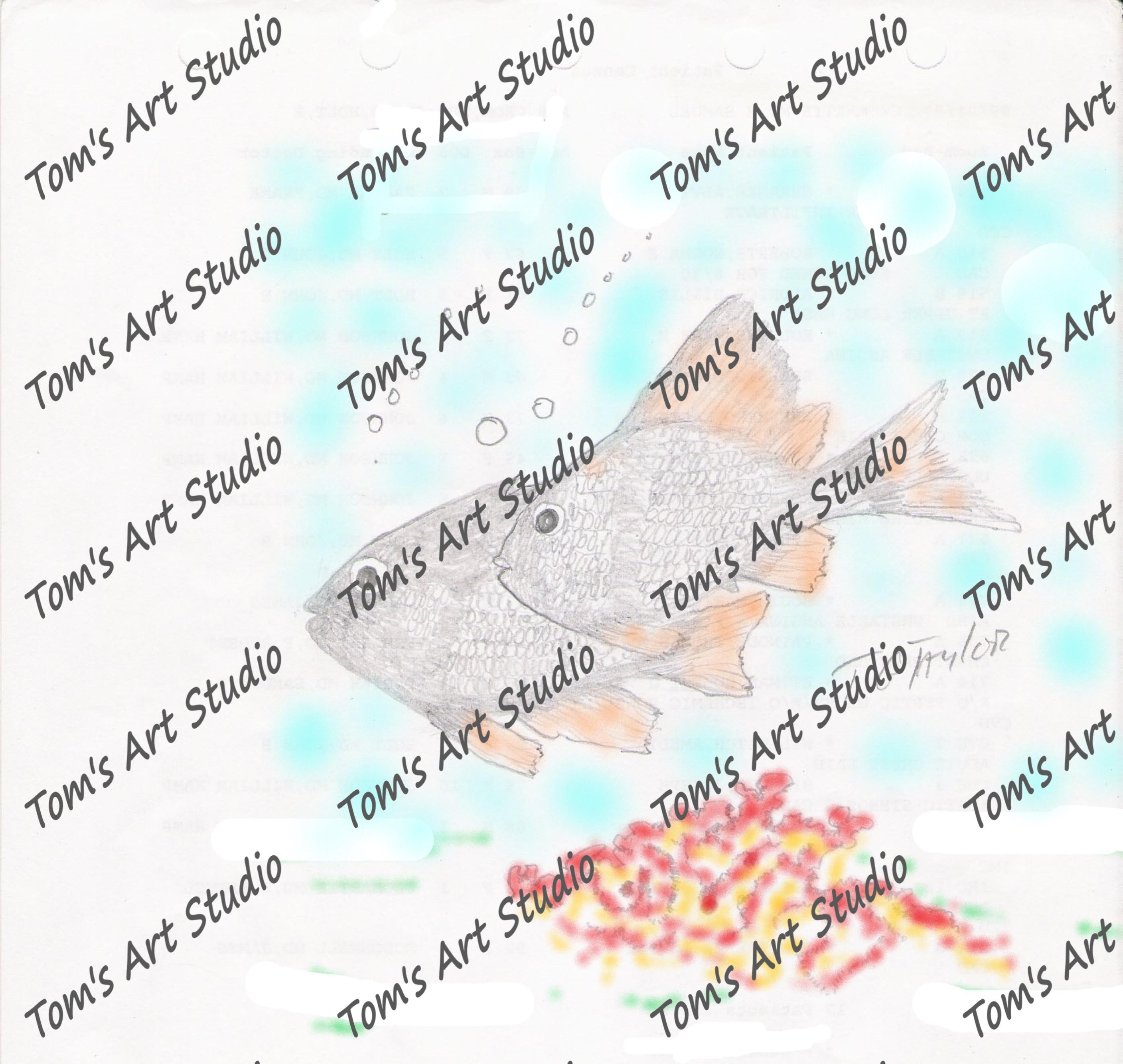 Fishes2